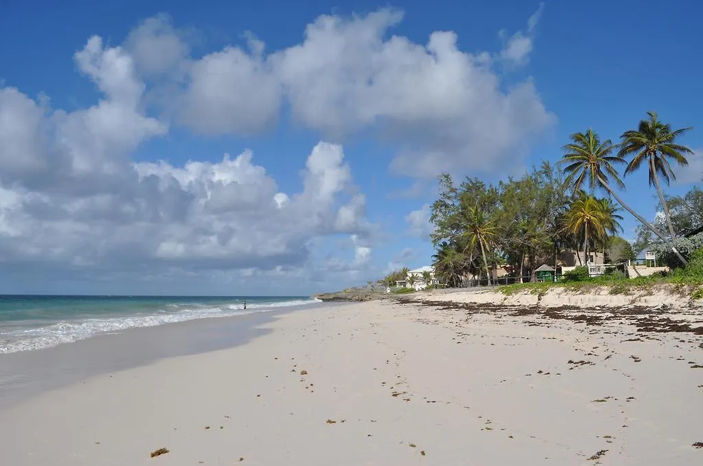 White Coconut Studio Christ Church Barbados