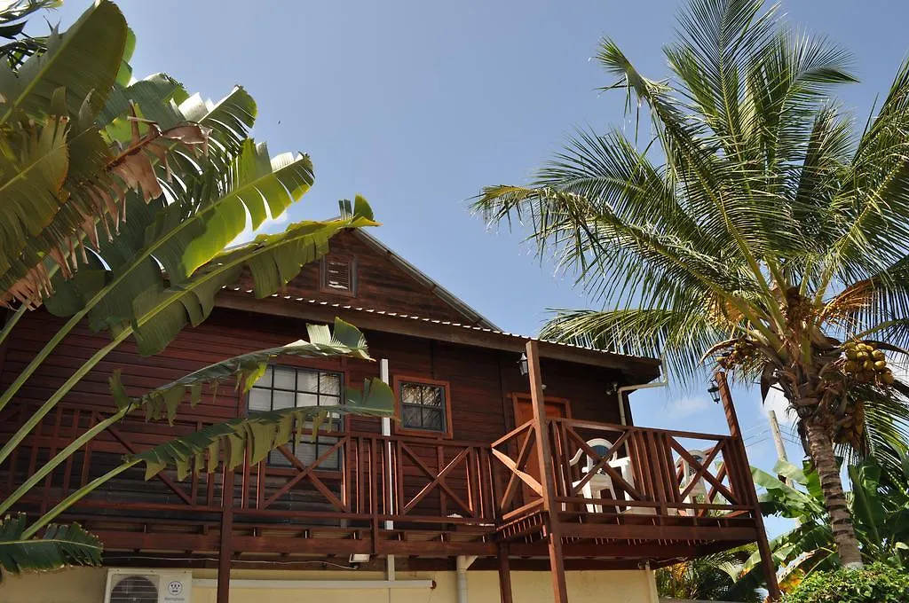 Apartment White Coconut Studio Christ Church Barbados