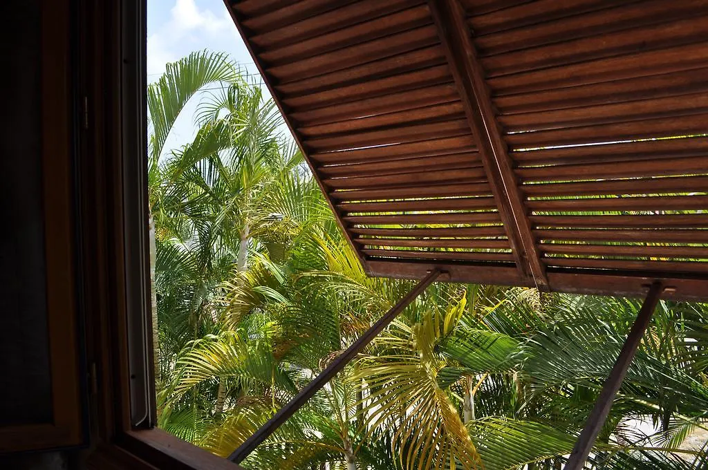 White Coconut Studio Christ Church Barbados
