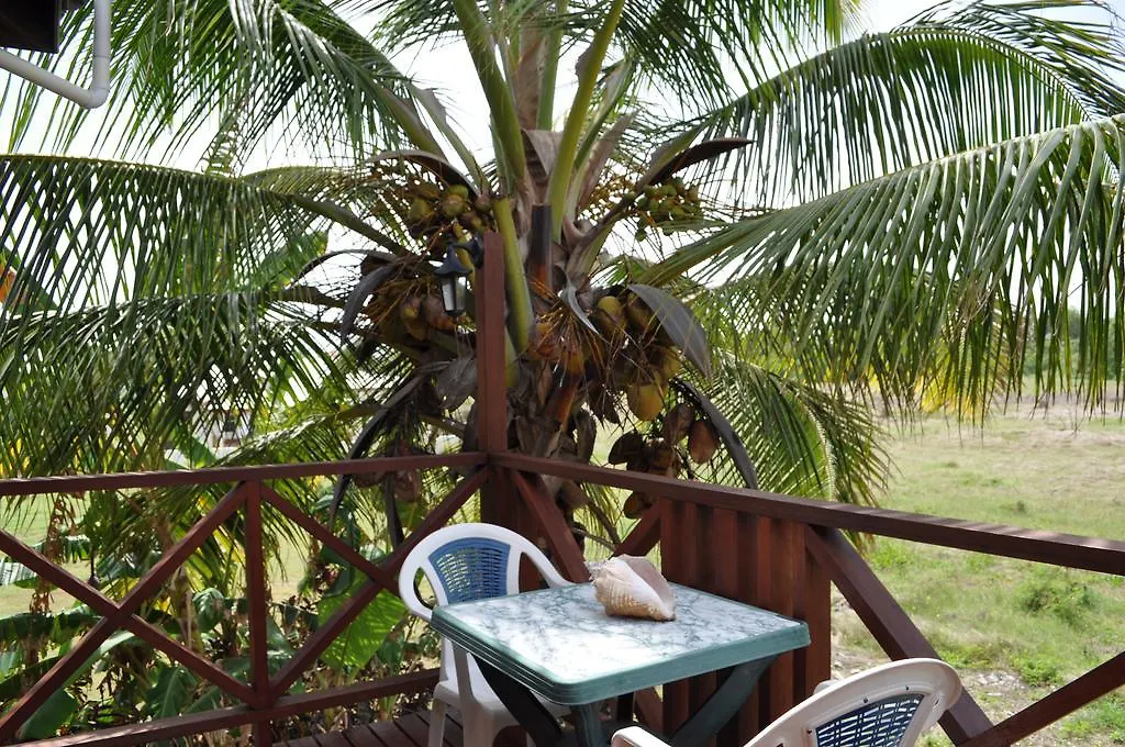 White Coconut Studio Christ Church 0*,  Barbados