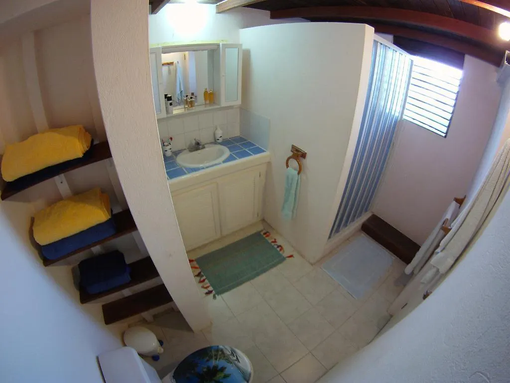White Coconut Studio Christ Church Apartment