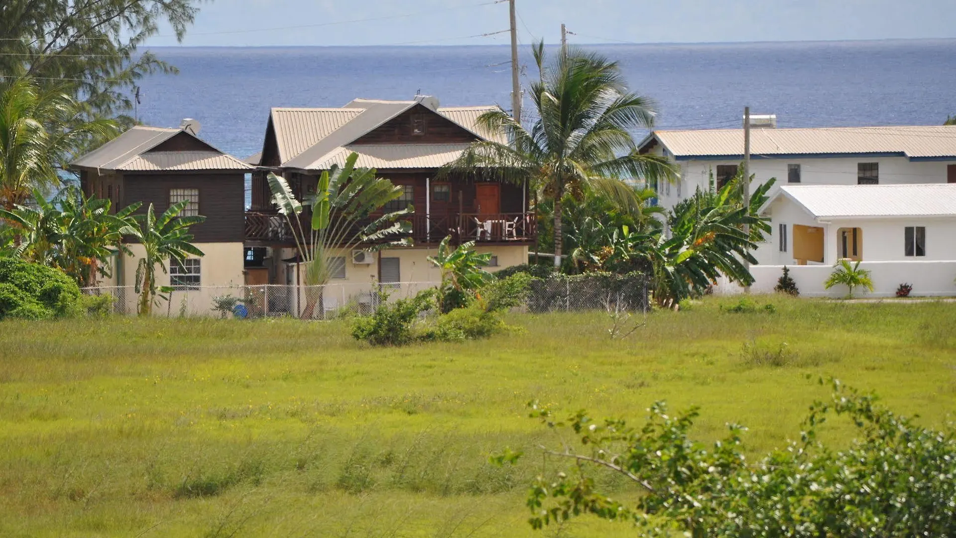 White Coconut Studio Christ Church Barbados