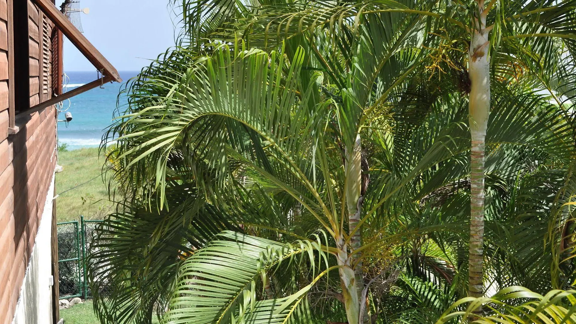 White Coconut Studio Christ Church Apartment